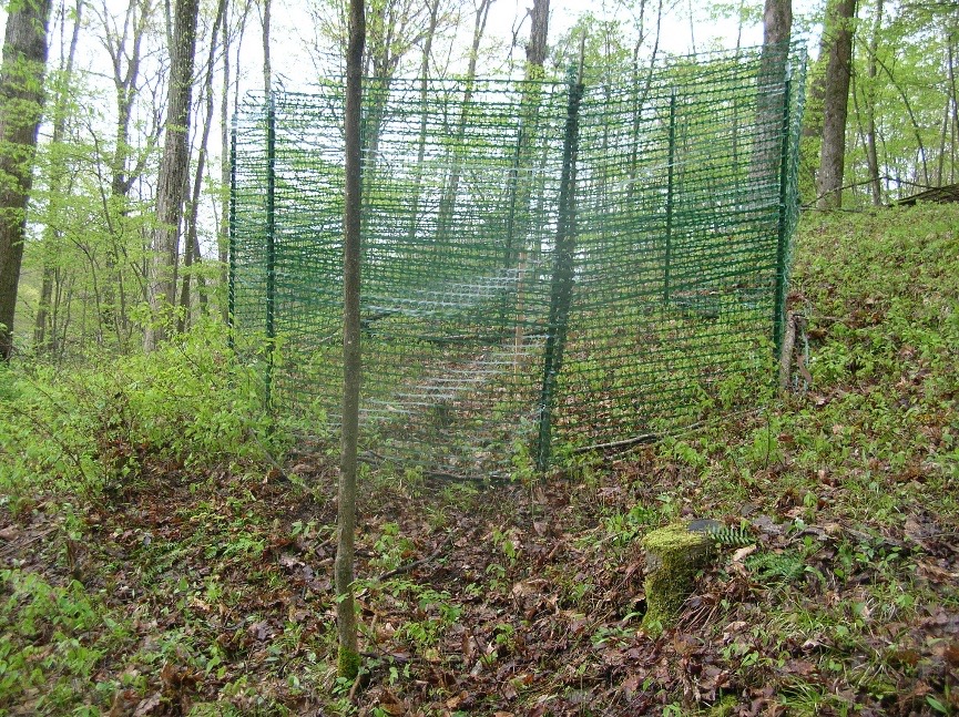 woodland enclosure CWS1 grant in Sussex