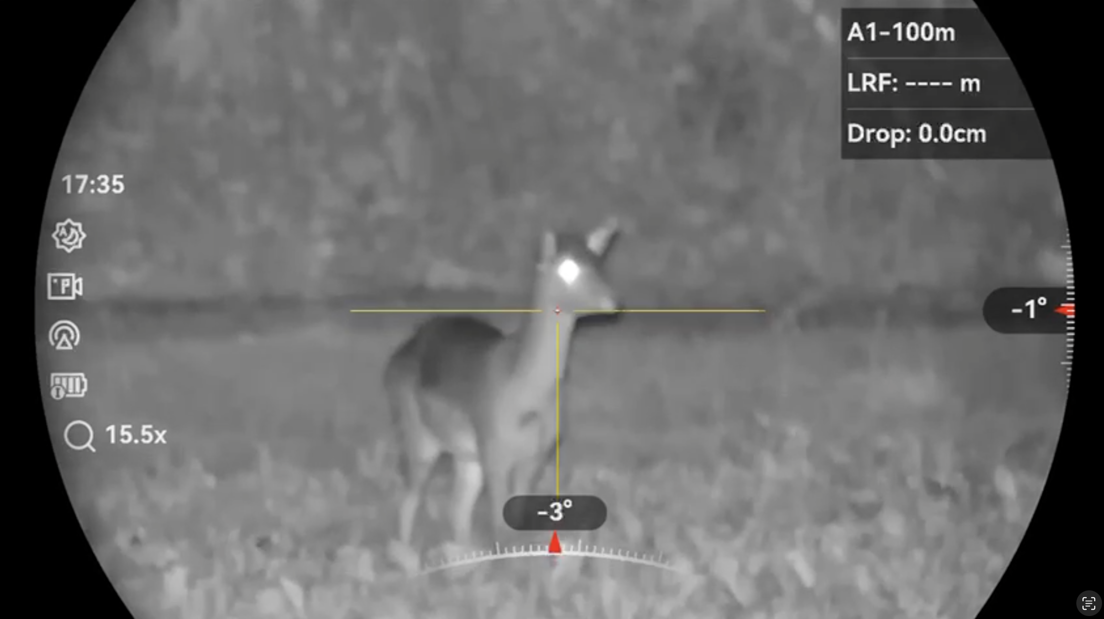 NIght shooting deer on a Sussex estate under ight shooting licence